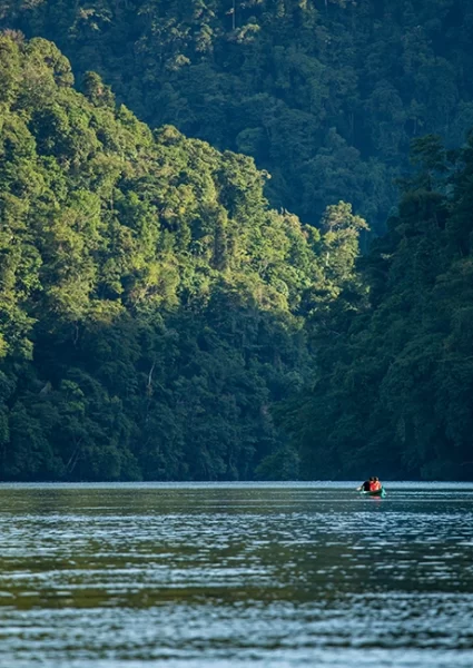 kayak en el rio dulce